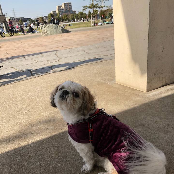 288cd573 260c 448d b352 a217e6c9a177 1584841718546