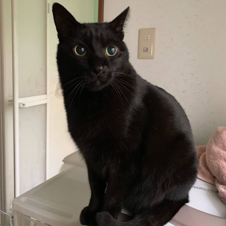 288cebc5 db07 47e8 b171 572508151b21 1544662707711