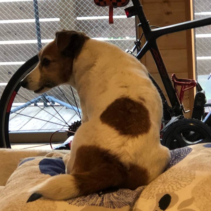 288d23c2 405a 424e 98be 2b360d8a2f1e 1522911858880