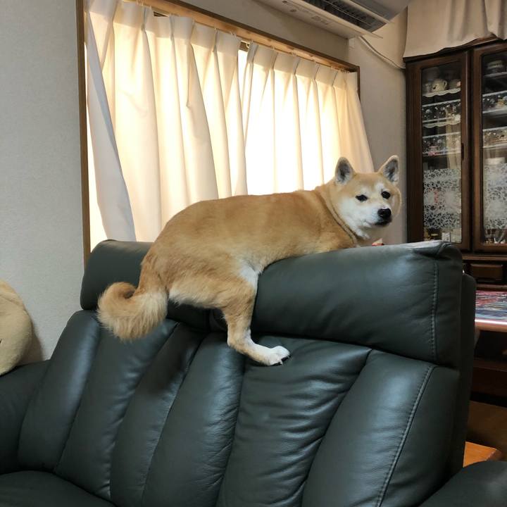 288d34cd 8bad 4c0f 99fa 94683a622eed 1582181267320