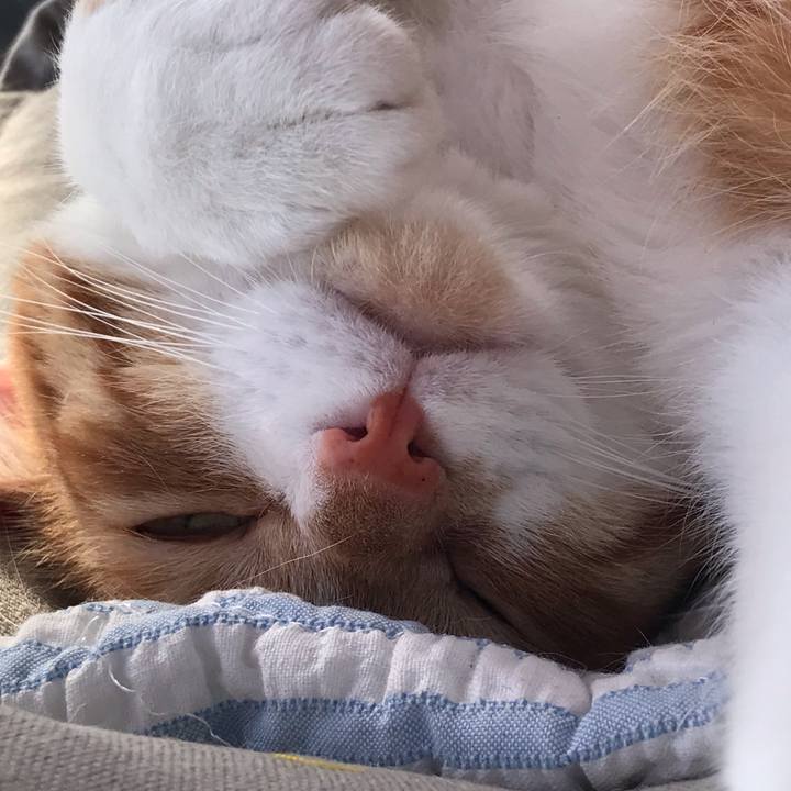 288de8a7 df26 4a7e ba83 e2e33cbb1de1 1553915394812