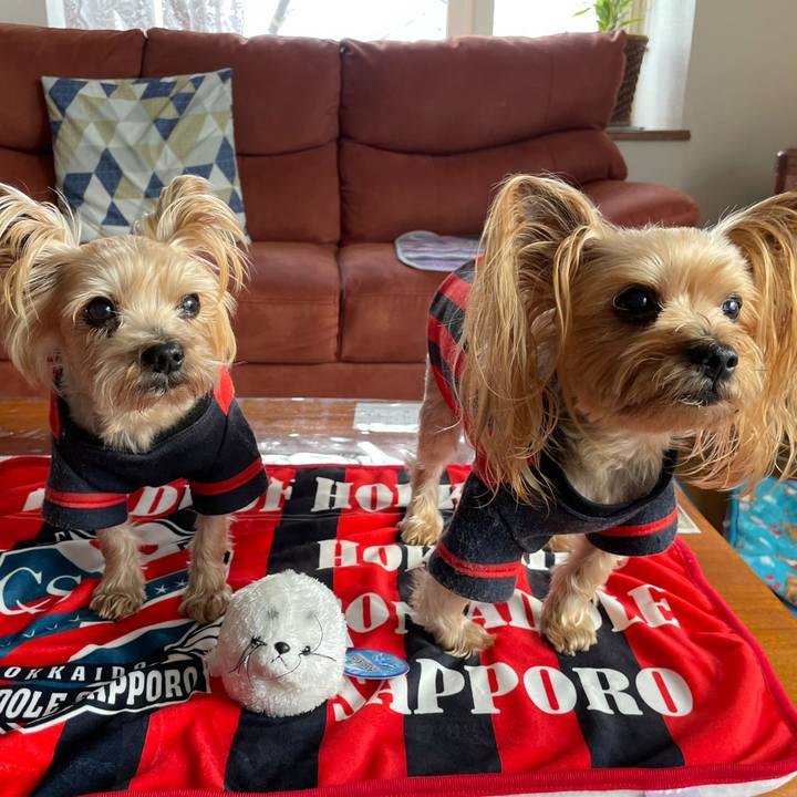 288e0aef 64d2 4d8f 9c1d 54ab9f8f28f6 1610357248603