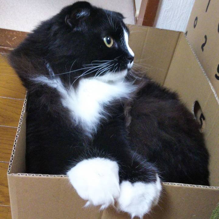 288e13ff b64b 439d a677 6abfdf5bafc3 1652923952177