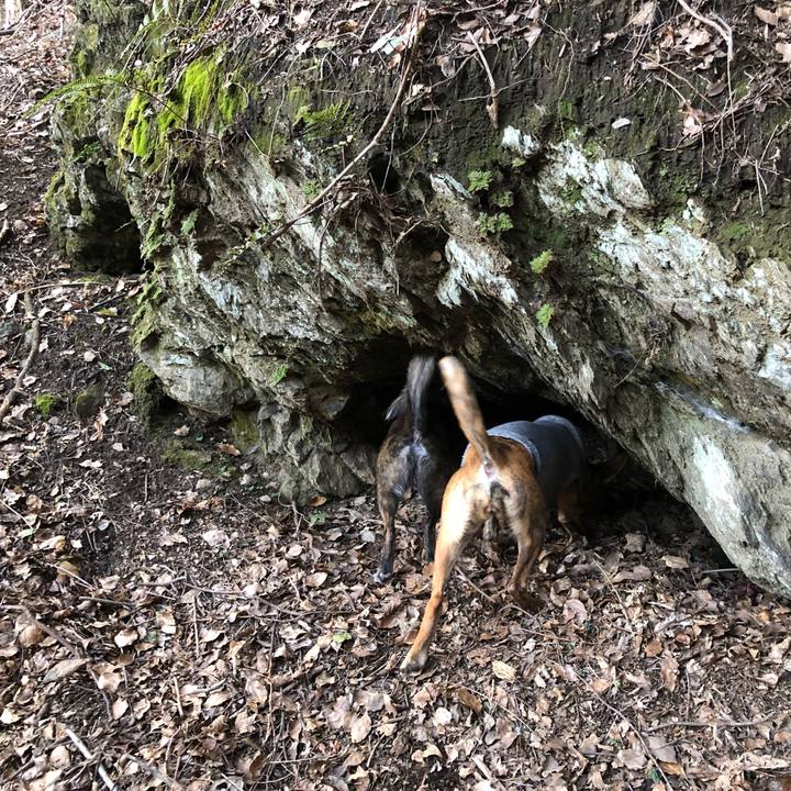 288e309c 2d17 421f 96c6 9dea297113ca 1580811570017