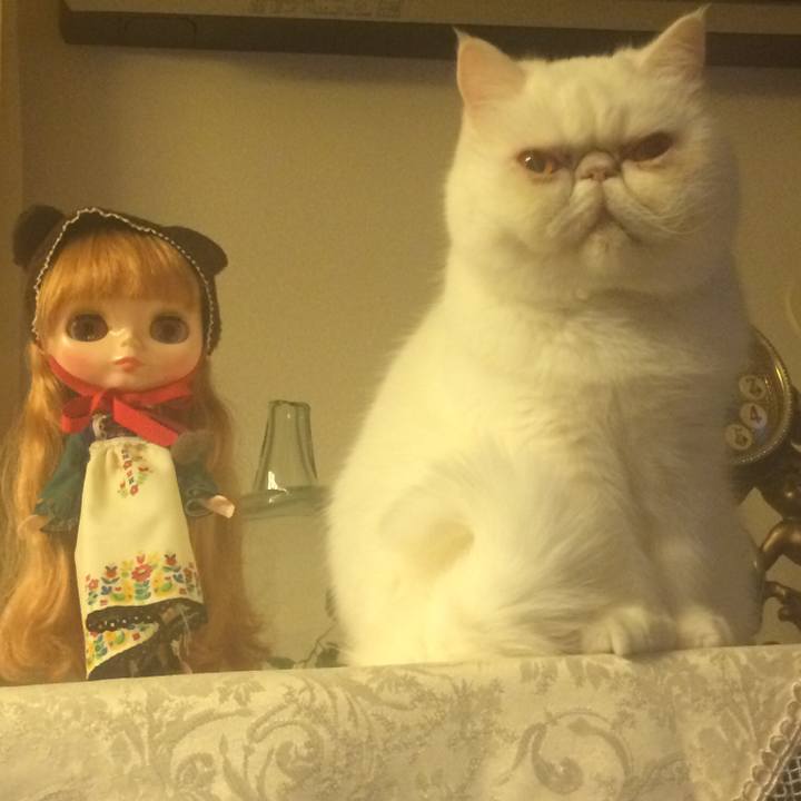 288e3d32 0a51 40d1 9c20 95924c713ba4 1550832322707