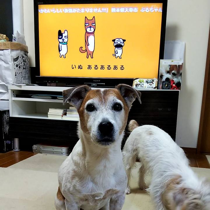 288e40af 7ea3 4884 9561 171d3a07a204 1547157877659