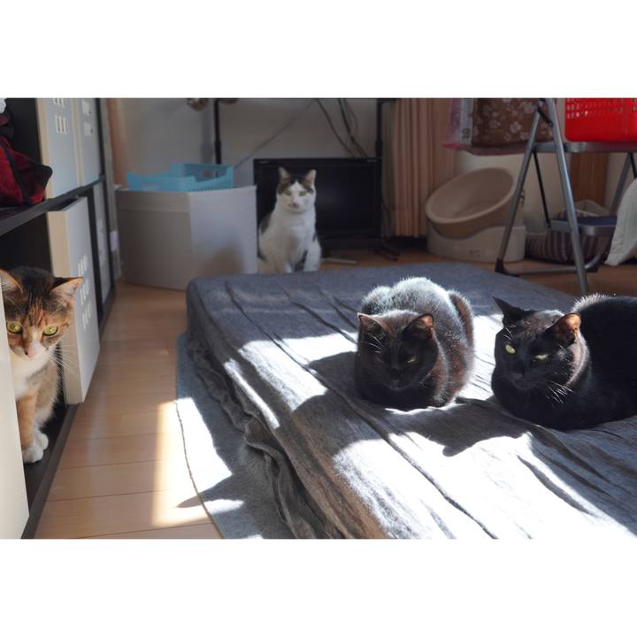 288e47de 55a5 4b16 95bb 636c052e6647 1613537843073