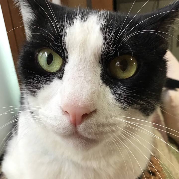 288e5c8b d3d8 42d5 91f8 44681fb5f620 1728096899533