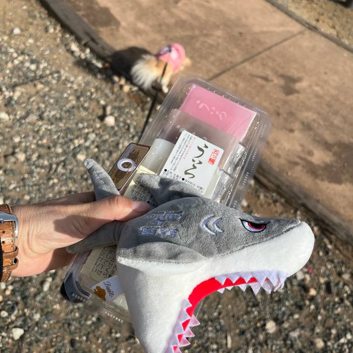 288e6e29 a5dc 4ac8 8a35 23d2273c8c88 1735533683789