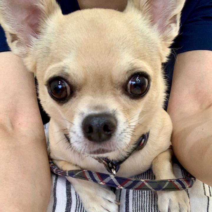 288e8ca2 c08b 42ee 8777 612f0e65a4e7 1566635969812