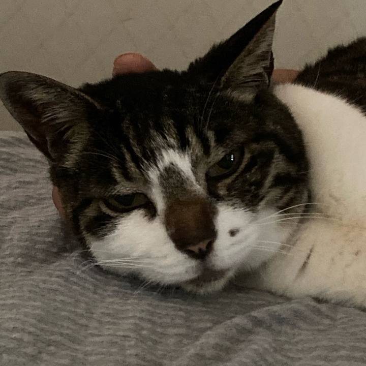 288ec135 bf26 4f6b aad7 22a669920038 1755172908462