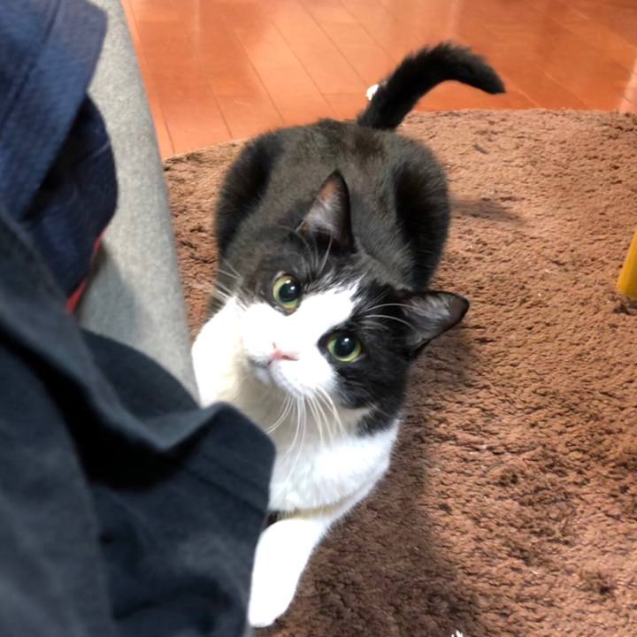 288ec6c6 84a1 40fb 96fb 7695013d717c 1539335981836