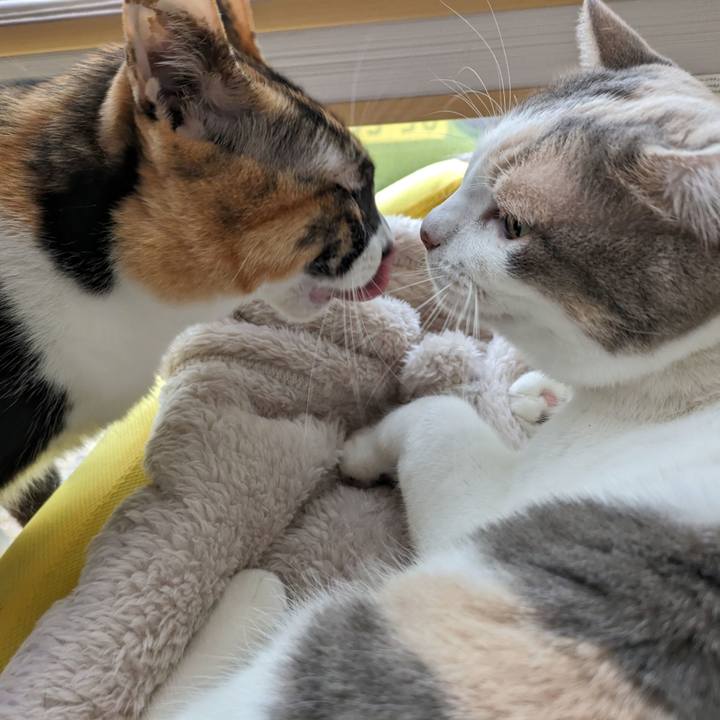 288edab3 fd28 41bd 9edb 6a64f81f0d77 1708663514427