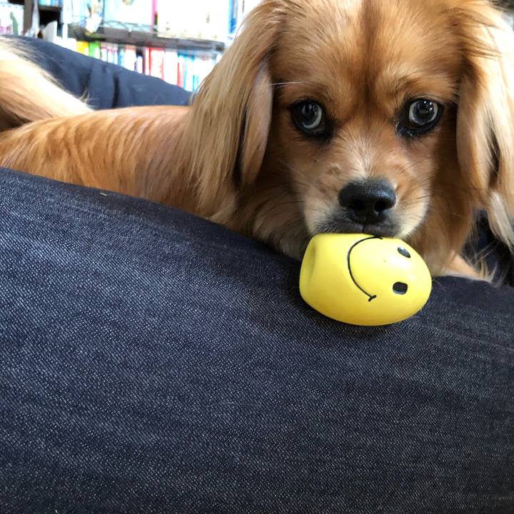 288ee477 d054 4259 9e40 b4ec1257dcfc 1526335689115