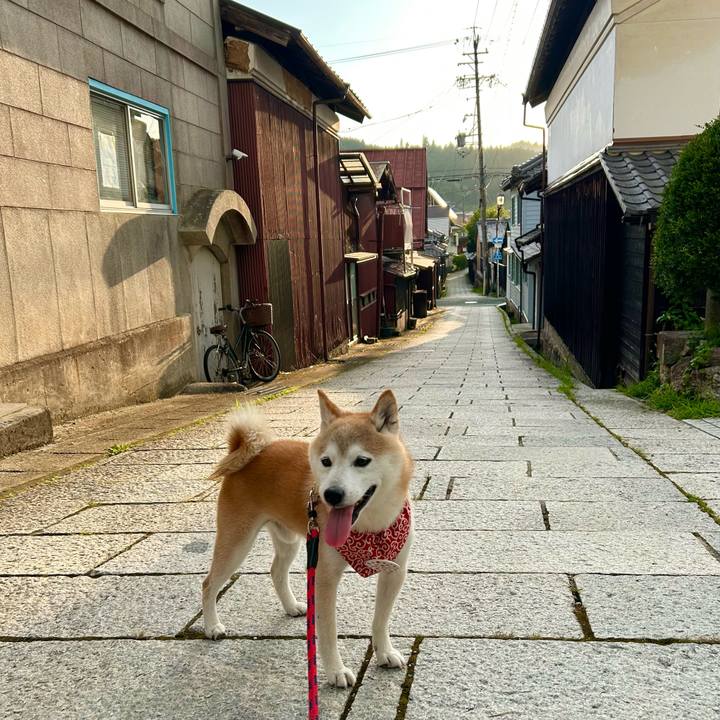 288f0f93 8d69 44a6 98f0 3275f57e486c 1752405451474