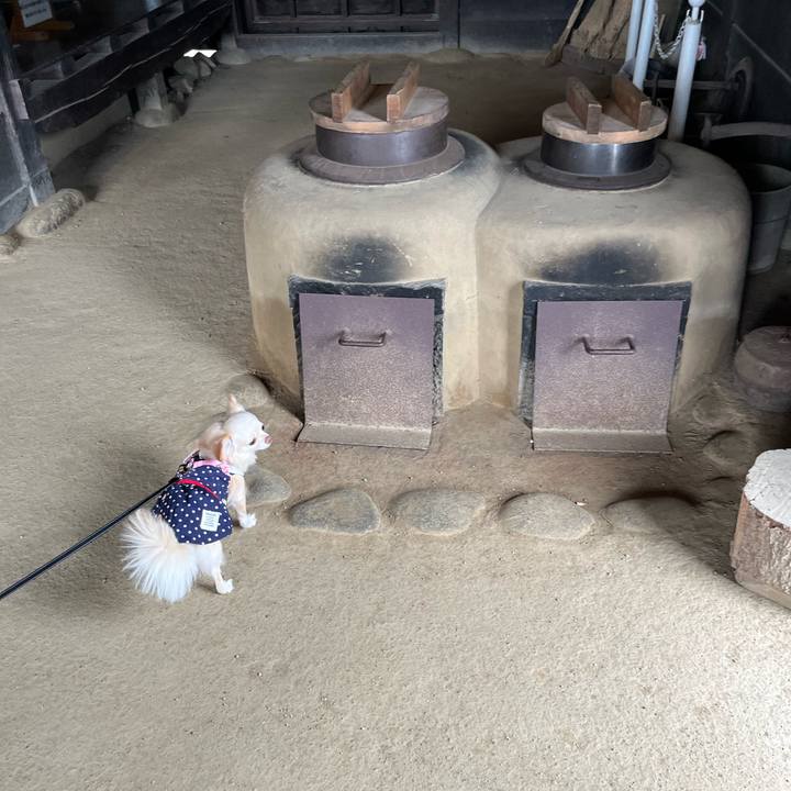 288f1719 e1eb 47d9 93c5 74a38bceb454 1730087529569