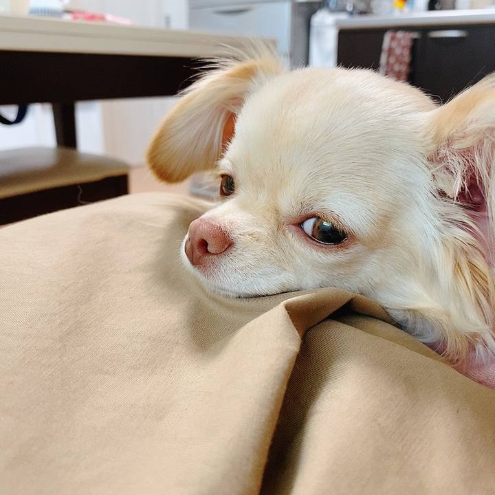 288f2121 38f1 4c0f b8a2 ea6cf1375adb 1618025989573