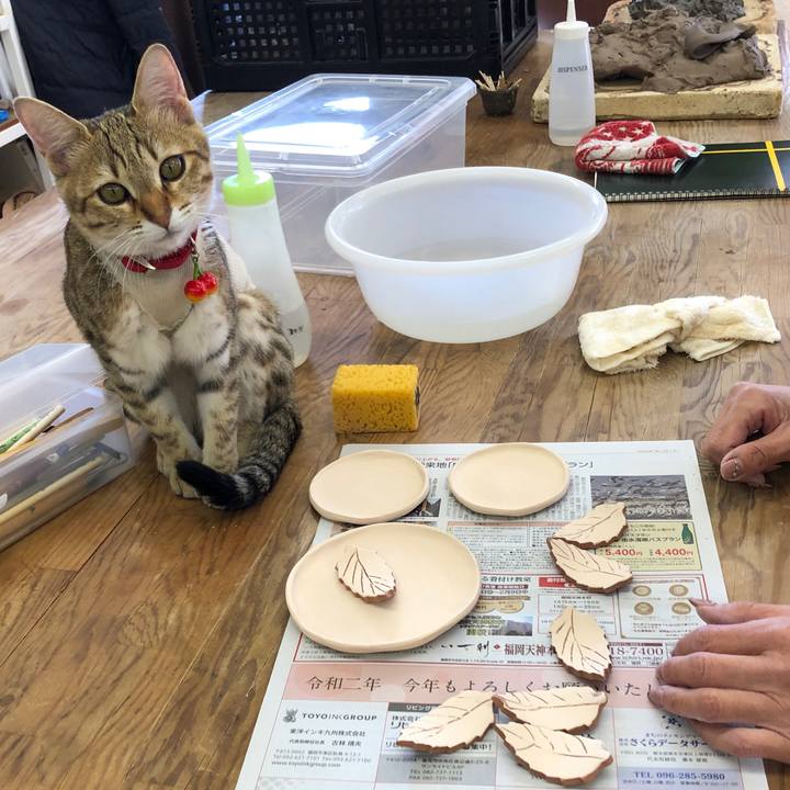 288f27bf 48b2 49cf ba0d 44e913ec9fad 1582167735875