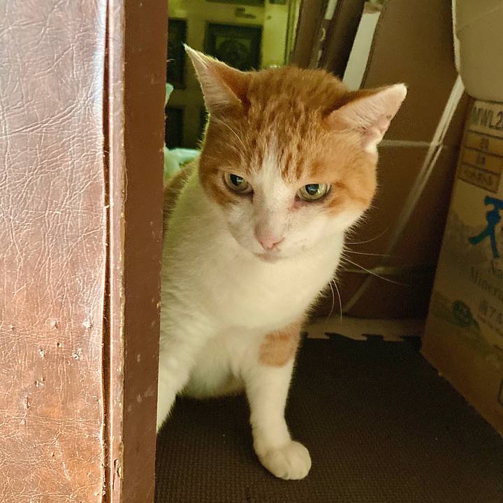 288f4c58 4cb6 4068 a112 c40732ef5a9e 1634184814804