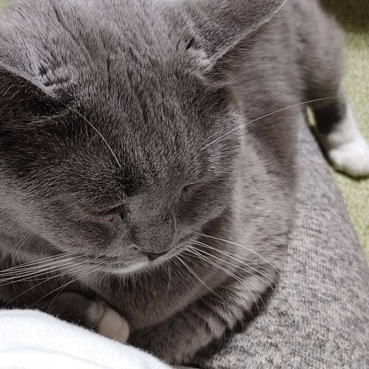 288f9ec5 652b 49a2 9c2d b017c082b148 1639901805376