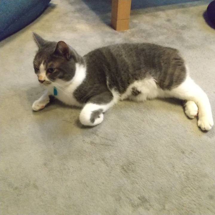 288fe270 0cdf 4989 b6da 20fd2cefd799 1629154692868