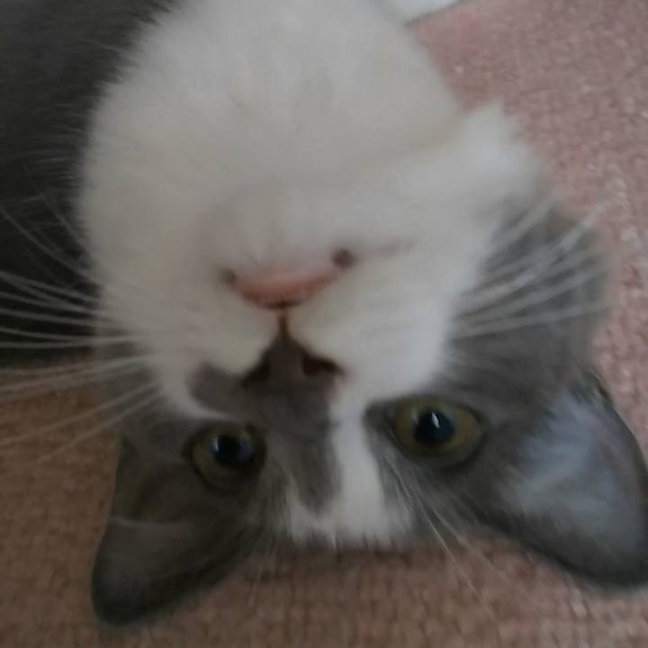 288feccf db06 4210 a71e 766333dfd9f7 1568071804780