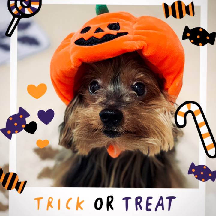 289033dc d9c6 4b9c ad9c 1293703e16f9 1540948052362