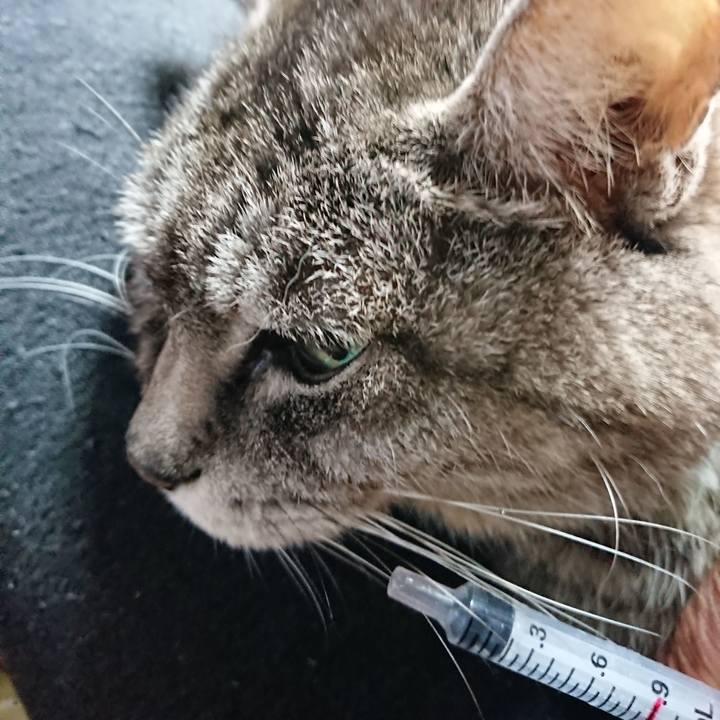 28906f60 9489 4968 8e1d 8e0e45348de0 1553898859968