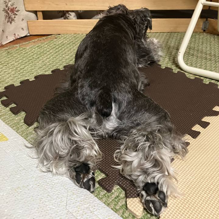 28907985 07f8 4f1a b186 1c85449f8e57 1747836790929