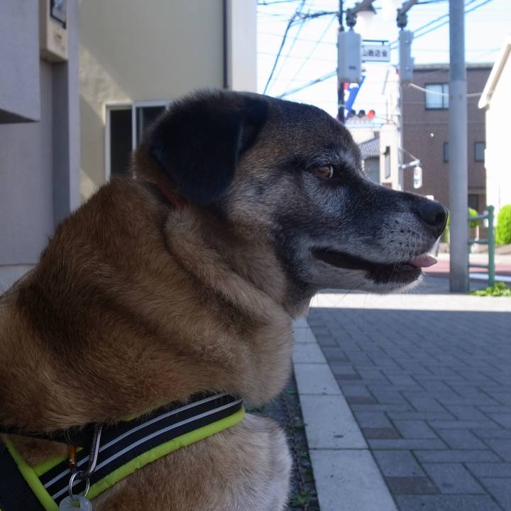 289093d6 6939 4317 af0f e8c796fd5ad0 1587514499901