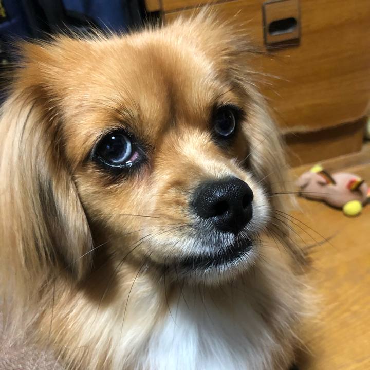 2890b53b 0246 412f 89c6 ef090e9da9c5 1544395015519