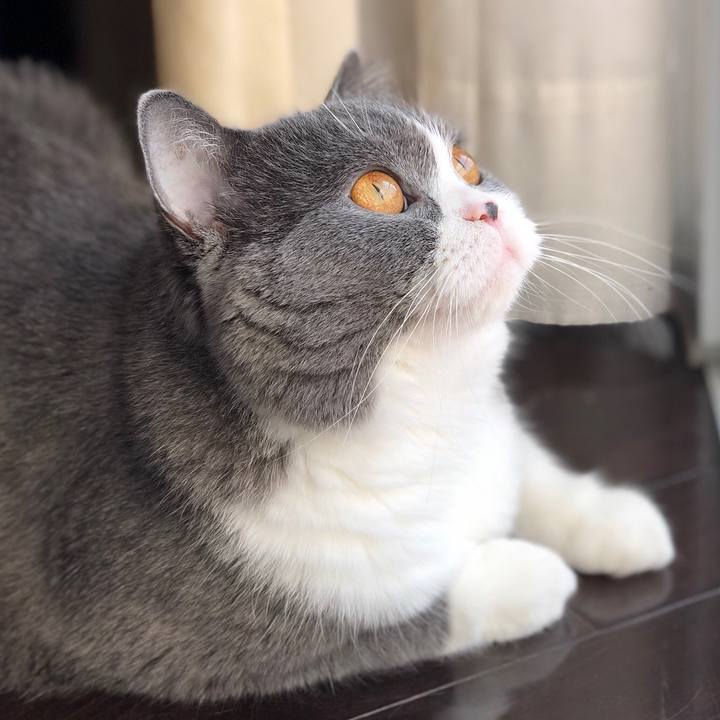 289105db 9b09 4175 9761 e736c26f75d4 1538376760760