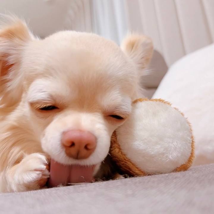 28913ba5 63f3 426e 9d33 02272d640e3c 1650286974554