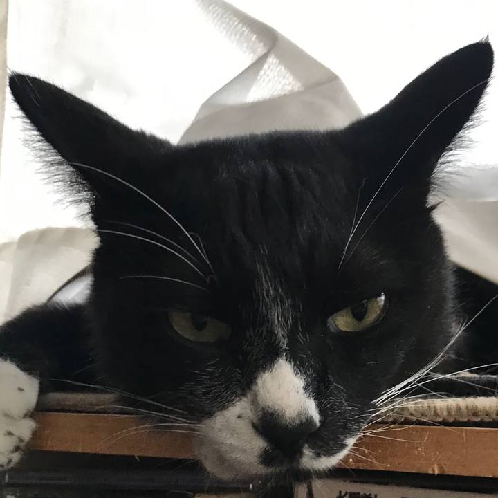 289160a2 edc1 4f30 a325 c66eafef0dfe 1628306542116