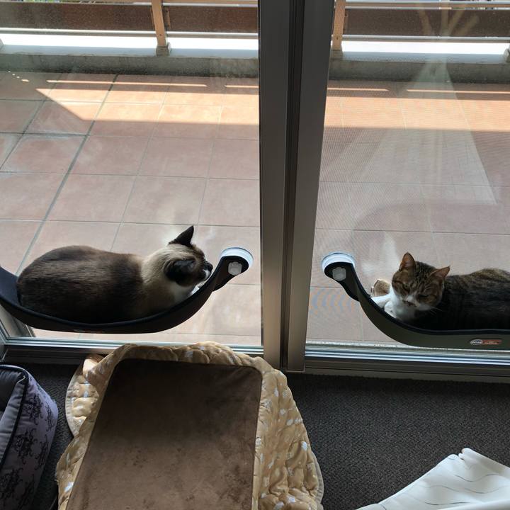 289171d5 9ab4 412c a157 bdd8ee84084b 1618795789075