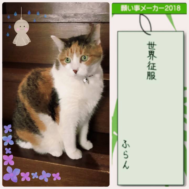 28917df0 e600 4d1f 87a2 95d9c14cf90a 1530966470794