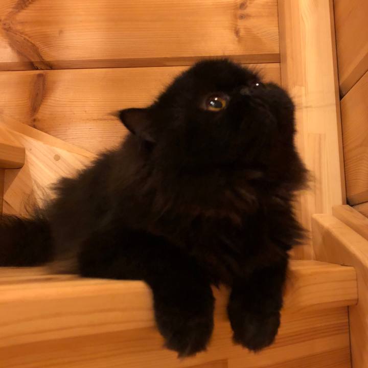 2891c857 42cb 4ee5 9e2f 41af82ff8b63 1529327528800