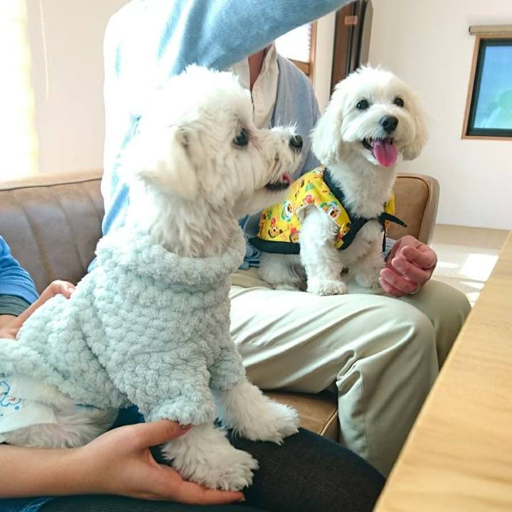 2891dc5c 1a3e 42a6 8b68 f0fa26316833 1515025690140