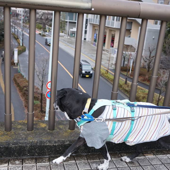 2892341f 087f 42e3 9940 4c1c78810414 1772067350617