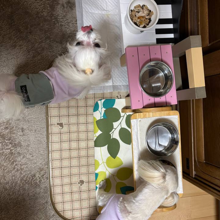 28923437 b979 4eff af29 d8fe4c93f4ce 1764066138094