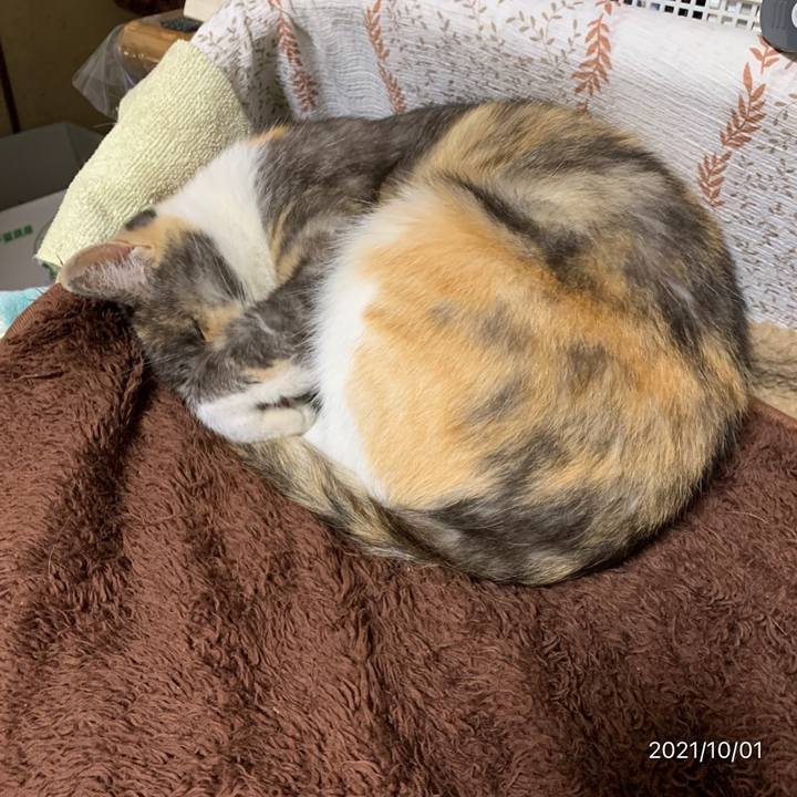 28923b94 a074 41bc b0a9 cc52dd7429c1 1633090592951