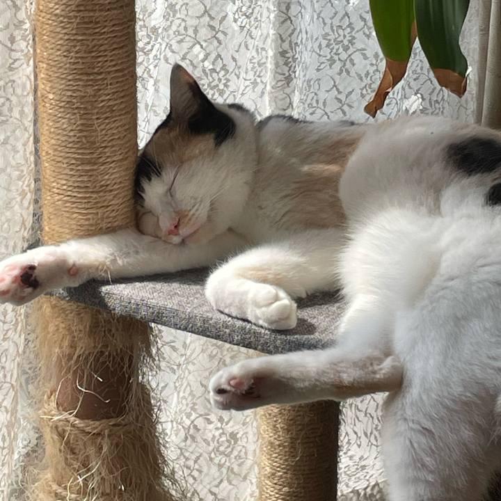 2892405f 6b34 42fa a0b1 c4cd7921ebc9 1754351659928