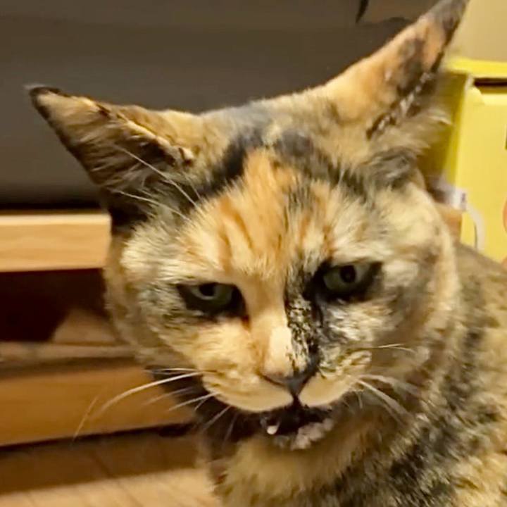 28925ca1 494e 40a6 8772 3ade167e93e9 1736328323901