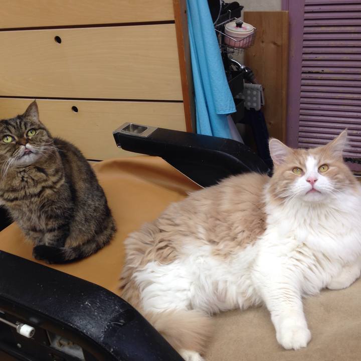 28926155 a9b8 404d ade4 2e54091ee091 1515809535473