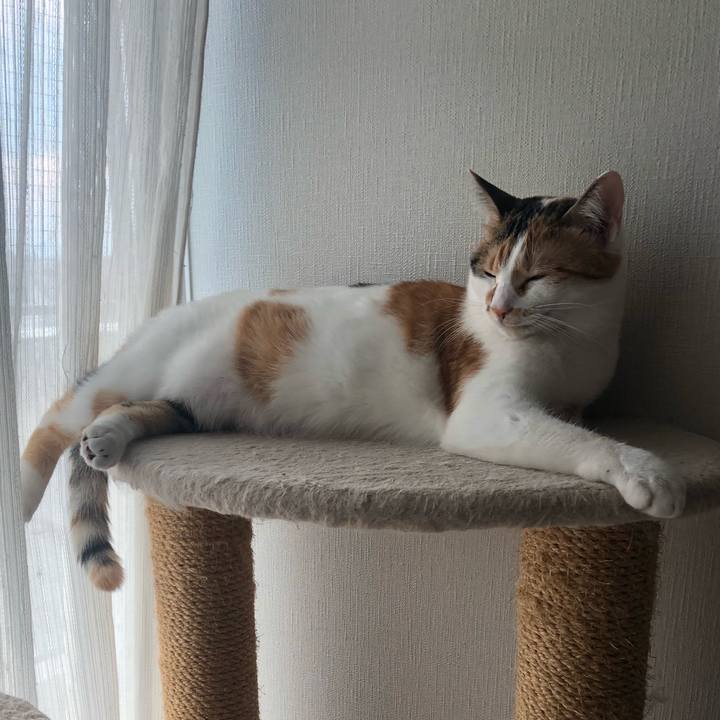 28926d64 6bd8 4ebf 88b2 6562fb211013 1590829009734