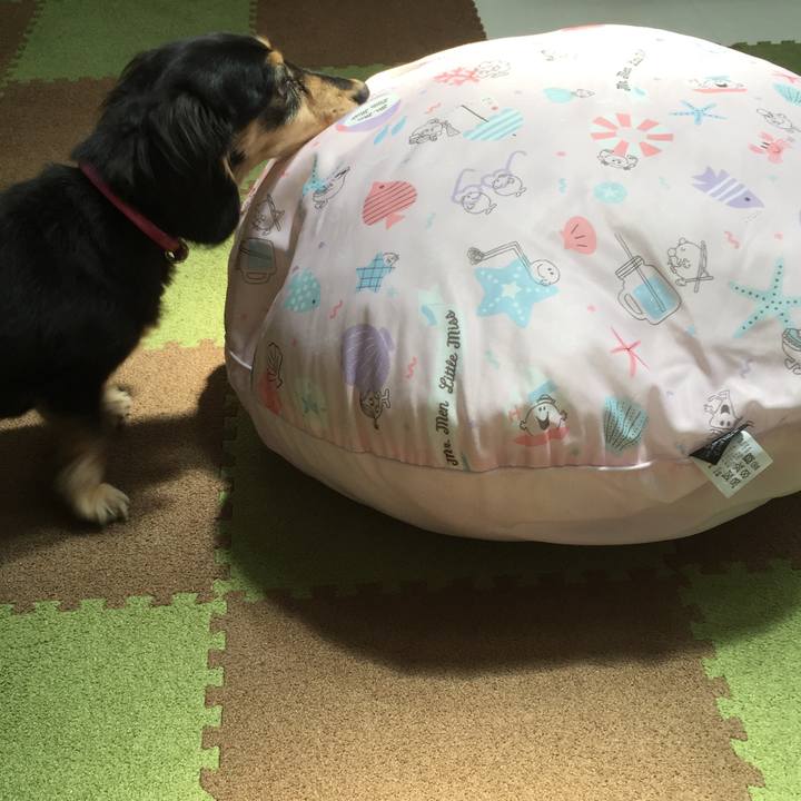 2892ec3e 3f36 443f a90d 111e1e3eac61 1526867337382