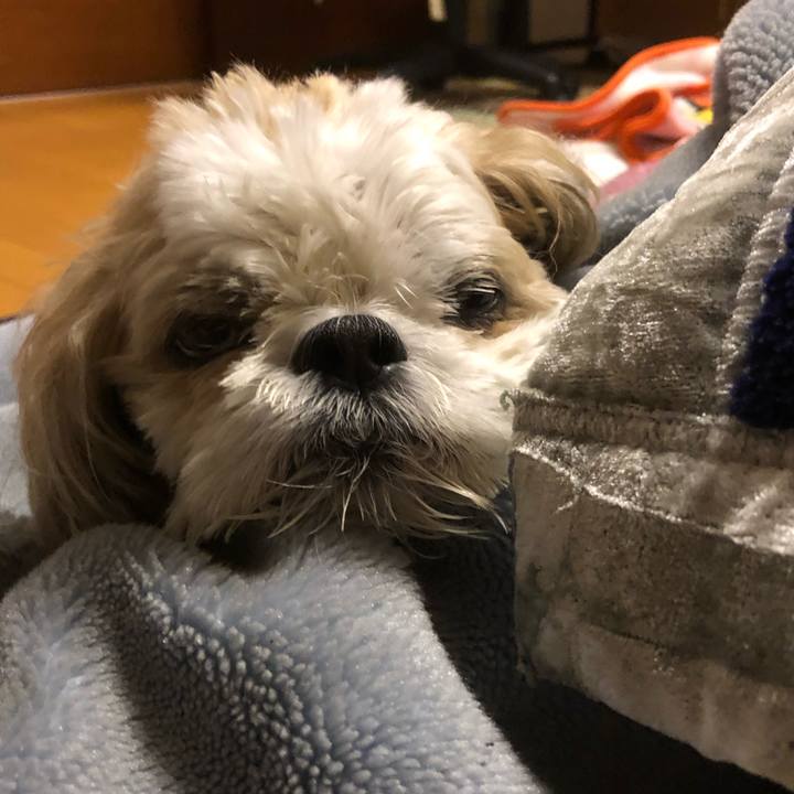 2892eeb0 7748 4e97 83f2 8cc0f999eaee 1635285266583