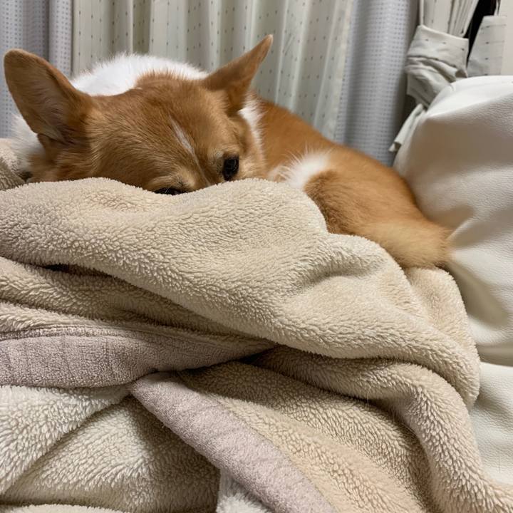 2892f47f 7edd 45c3 a406 00f1b7834602 1570659709914