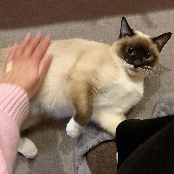 28932dfa 759f 451e ac59 5f415bba27c3 1679605839245