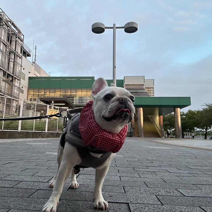 28934758 c80d 4903 9392 56ca05437043 1694384630468